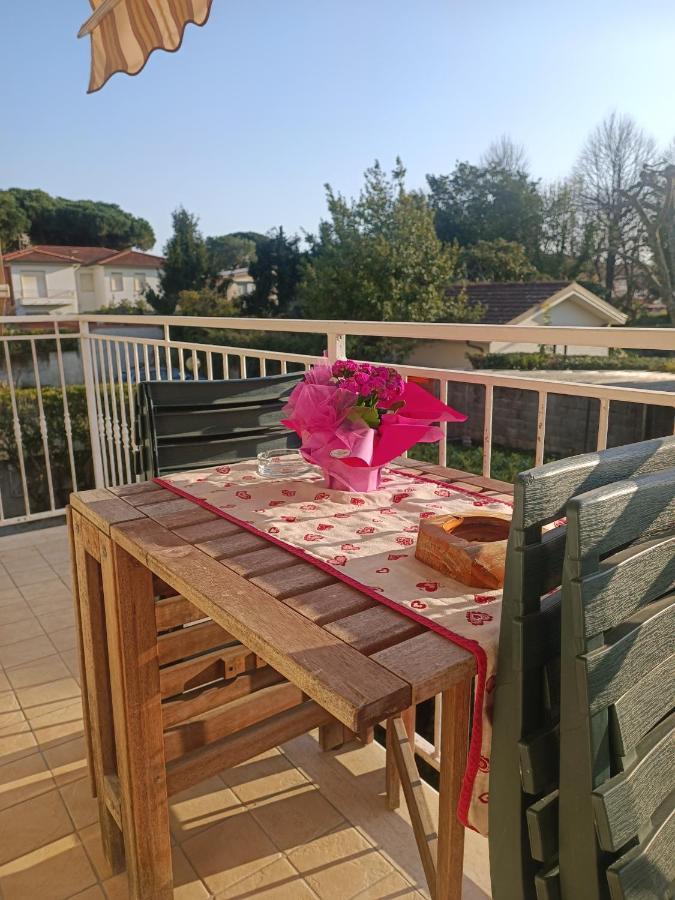 Le Palme 98 "Casa Vacanze" Lido di Camaiore Eksteriør bilde